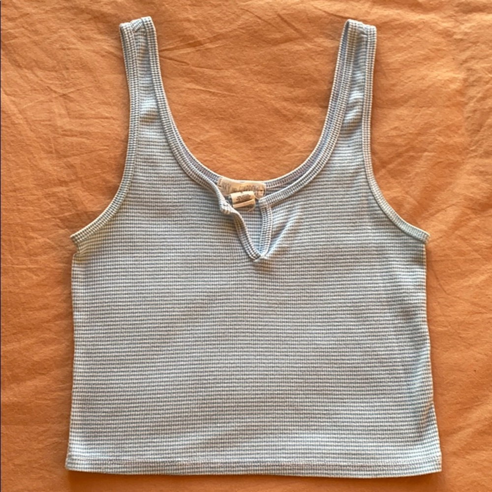 Skey and Sparrow Crop Top